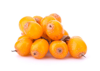sea buckthorn isolated on the white background
