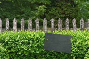 Alter Gartenzaun mit Tafel vor Buchsbaumhecke