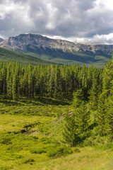 Alberta Wilderness
