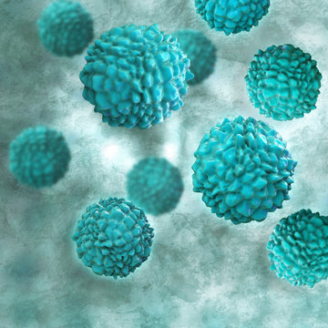 Norovirus Noroviren