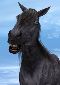 Smiling Horse