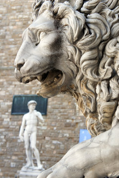 Lion and David at Loggia Dei Lanzi , Florence Italy