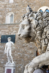 Lion and David at Loggia Dei Lanzi , Florence Italy