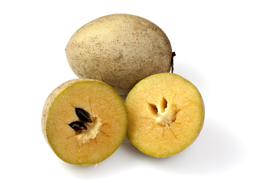 Sapodilla or Sapoche (Manilkara zapota)