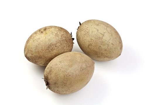 Sapodilla or Sapoche (Manilkara zapota)