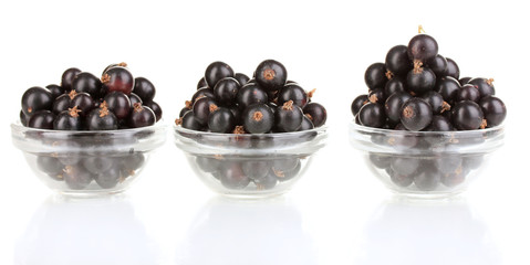 Fresh black currant isolated on white