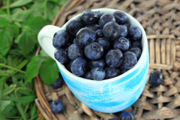 Blueberries in cup on wicker tray on grass