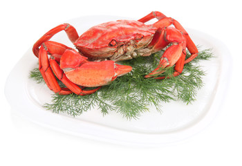 Boiled crab on white plate, isolated on white