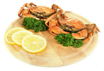 Boiled crabs on wooden board, isolated on white
