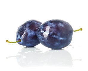 Group of plums isolated on a white background.