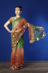 beautiful female wearing traditional indian costume