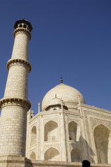 Fototapeta na wymiar marble of the Taj Mahal seen from east side