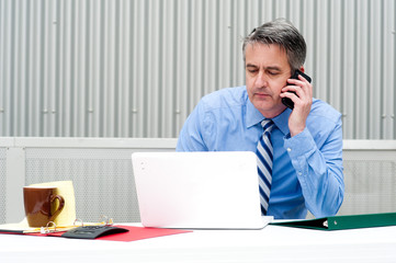 portrait of a businessman on the phone