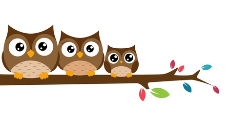 Fototapeta premium owls Family sat on a tree branch