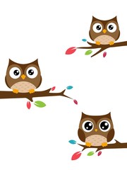 Family of owls sat on a tree branch