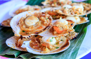 Scallops in the shell