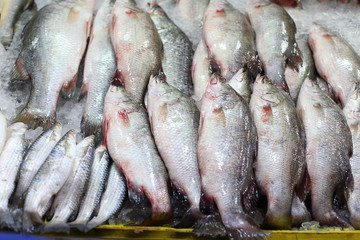 Seafood fish frozen in the ice