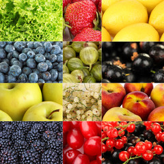 Collage of fruits and berries close-up background