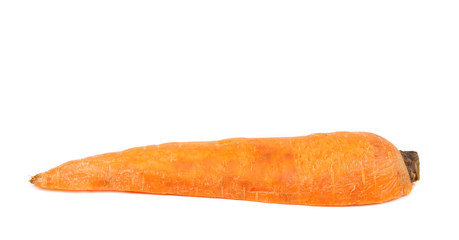 Half of fresh carrot