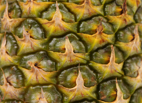 Background of pineapple fruit. Close up.