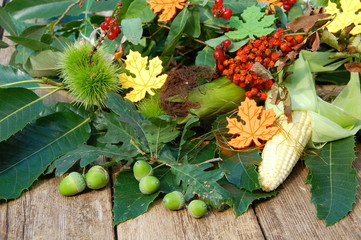 Herbstfrüchte auf Holzuntergrund