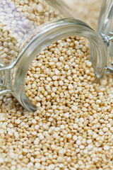 Quinoa