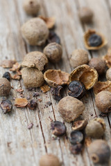 Pimiento berries - pimento