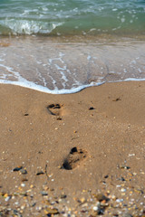 Footprints on the summer beach