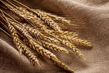 Ears of wheat over linen background