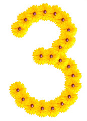 numbers of flowers on a white background