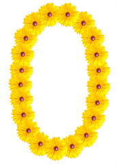 numbers of flowers on a white background