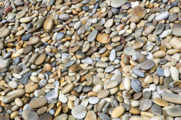 pebble stone