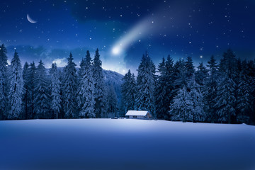 Weihnachtswald © by-studio