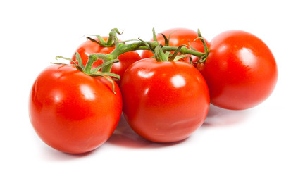 Closeup of tomatoes on the vine isolated on white. Tomato branch