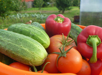 Спелые овощи на зеленом фоне