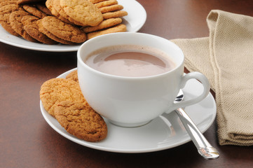 Hot chocolate and cookies