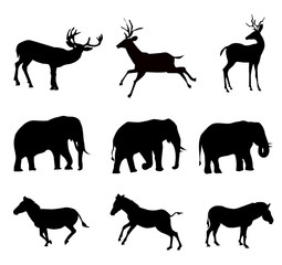 animals silhouette