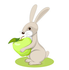 rabbit2