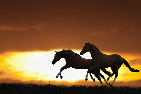 Two running horses