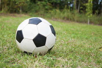 Fototapeta premium soccer ball on green field