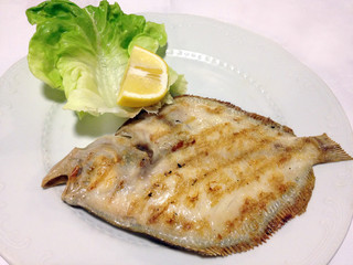 steinbutt