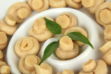 Mushrooms in bowl, close up