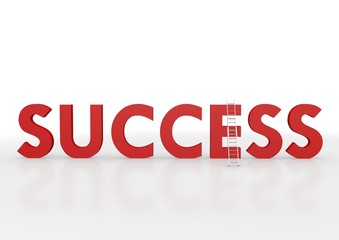 Success