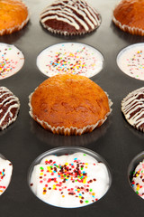 Tasty muffin cakes in baking tray close up
