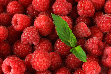 Ripe sweet raspberries, close up