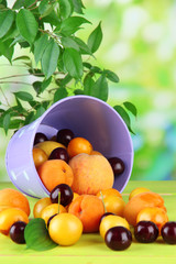 Bright summer fruits in pail
