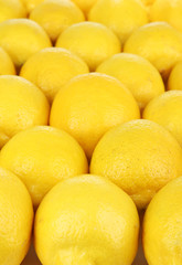 Ripe lemons close-up