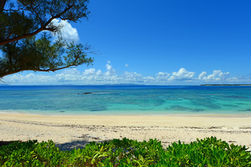 屋那覇島の美しい珊瑚の海と夏空