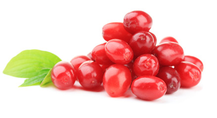 Fresh cornel berries isolated on white