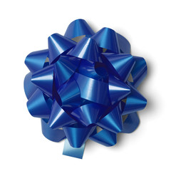 Blue Gift Bow